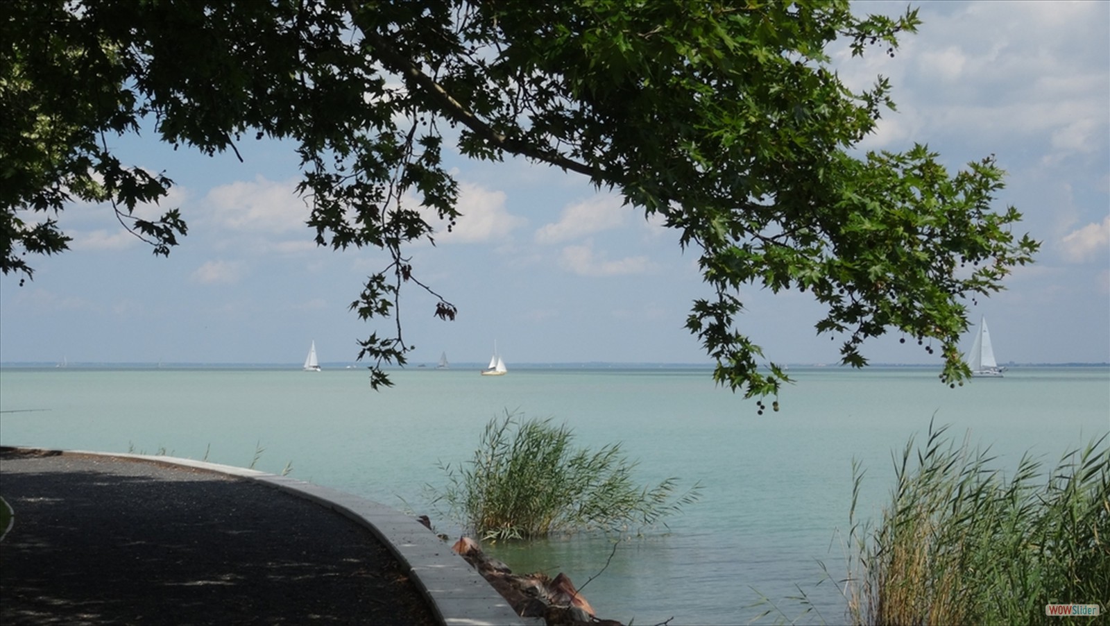 balaton-05